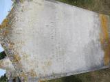 image of grave number 883746